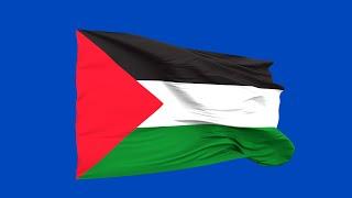 Palestine Flag blue screen | green screen | chroma key (FREE USE)