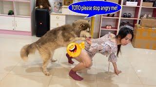 Aww!!Kwan don't know why TOTO get angry again but Kwan try to comforting TOTO,finally what's happen?