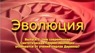 Cинтетическая Теория Эволюции и учение Дарвина. Дмитрий Тюлин. "Эволюция", выпуск 3