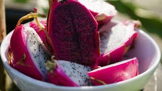 The Garden Gurus - Dragonfruit how to grow at home