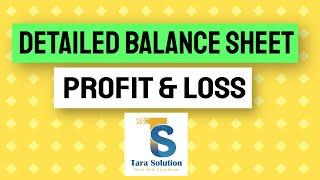 Detailed balance sheet and profit and loss TALLY PRIME