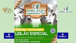 LEILÃO ESPECIAL BAMBU LEILÕES  -  CAMPINORTE - GOIÁS 31/05/2024