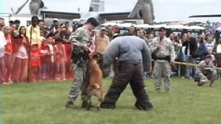 Attack Dog Demo JSOH 2009 Air show Belgian Malinois Andrews Air Force Base