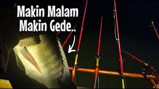 KETIBAN REZEKI NOMPLOK GARA-GARA PAKAI INI || BARU NONGOL UDAH BIKIN ULAH TEROZ DI SPOT MANCING ALAM