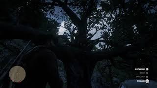 NPC | The tree hermit near Doverhill ("Poor or King Joe") throws rocks at Arthur | RDR2