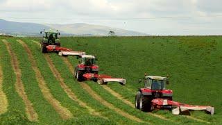 Silage '20 - Mowing with THREE Tractors! John Deere and Massey action.