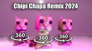 360º VR Chipi Chipi Chapa Chapa (Phonk Remix 2024) El Gato Cats Dance