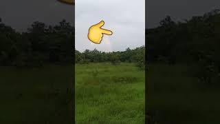 Pelangi Di Atas Sawah