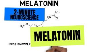 2-Minute Neuroscience: Melatonin