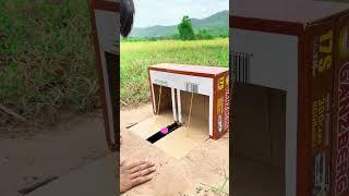 Really Good Idea Quail Trap Using Cardboard Box