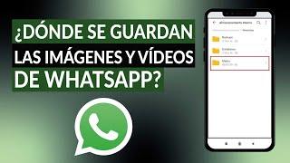 WHATSAPP: ¿Dónde se guardan las imágenes, archivos y videos en mi celular Android?