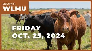 Heifers total 40% of cattle on feed inventory | Weekly Livestock Market Update