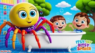 THE ITSY BITSY SPIDER RHYME SONG FOR THE BABIES ।। THE ITSY BITSY SPIDER।। ENGLISH RHYMES FOR KIDS