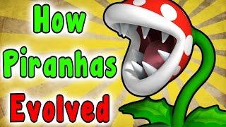 Evolution Of The PIRANHA PLANT (1985 - 2017)