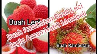 Rambutan Berbuah Leci @Grahito.Channel