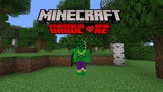 I survived 100 Days of Hardcore minecraft... Here's what happened.