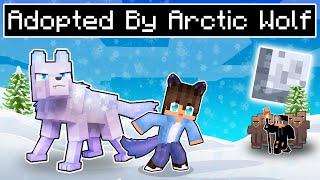 Adopted By The ARCTIC WEREWOLF In Minecraft