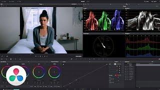 Professionally COLOR CORRECT using VIDEO SCOPES