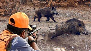 GIANT MONSTER BOAR HUNTS: Incredible SHOTS, Breathtaking DRONE Chase!