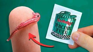 Sea-Monkeys Racing Fuel | Packet Experiment Series: Video 12