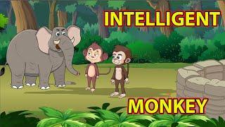 Intelligent Monkey | English Moral Story | MahacartoonTv English | English Cartoon | English Story