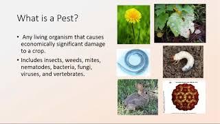 Introducton to Integrated Pest Management