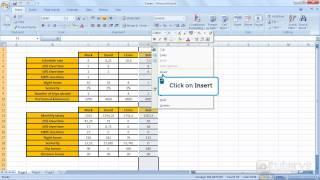 How to insert columns into a table with Excel 2007?