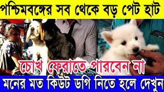 ️কিউট কুকুর নিতে চাইলে দেখুন | সব থেকে বড় পেট হাট কলকাতা LIVE (Largest Pet Haat in Kolkata)