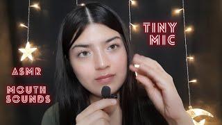 ASMR | *Tiny Mic* Mouth Sounds