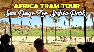 Africa Tram Full Tour 2022 | San Diego Zoo Safari Park | Scenic Wildlife Tour