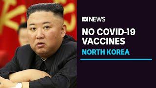 North Korea is grappling with a crippled economy, no COVID-19 vaccines and food shortages | ABC News