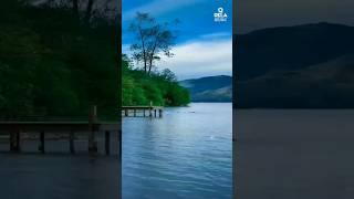 Calm nature environment for relaxation  #relaxing #relaxingtime #relaxingday #relaxing_time