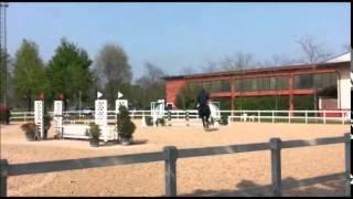 Jumping Horse Sold: Lolita E.H. National Cup YH Truccazzano 12 04 2015