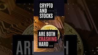 Stocks or Crypto ?!?! What should we focus on RIGHT NOW | Bear Market | BullRun | @degeninvesting