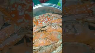 Fresh from laot. Subrang daming kanin ang naubos ️ #2024 #yummy #delicious #crab