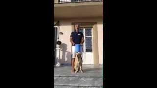 Andrea Bocelli ‎ALS Ice Bucket Challenge