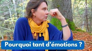 FACE aux EMOTIONS INTENSES