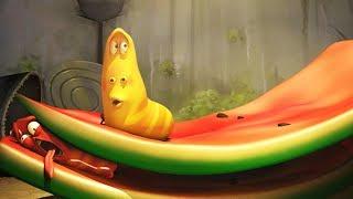 LARVA - WATERMELON | 2017 Cartoon Movie | Videos For Kids | Kids TV Shows Full Episodes