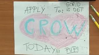 Draw my GROW life by Scrio