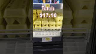 $21 Budget To Eat for a Week at Dollar General #dollargeneralcoupons #budgetgroceryhaul