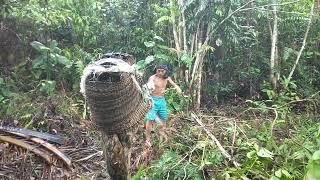 DAYAK Asli Tidak Pernah Ke KOTA Penghuni hutan Kalimantan @wangliong #kalimantan #hutan #camping