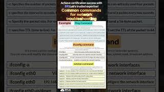 Learn Ping, Ifconfig, and Netstat Fast! Network Troubleshooting Tips