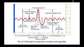 Pulmonary Function and Biopac Tutorial