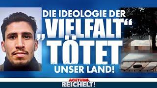 Wie die Ideologie der „Vielfalt“ den Terror nach Solingen brachte| Achtung, Reichelt! vom 26.08.2024