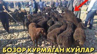 СУРХОНДАРЁ САРИОСИЁ ПАЙШАНБИ КУЙ БОЗОРИ 3-КИСМ