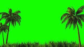 Green Screen | Chroma Key |  harvesting design palm trees and grass on a green background | 4K | HD