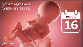 16 Weeks Pregnant - Natural Pregnancy Week-By-Week