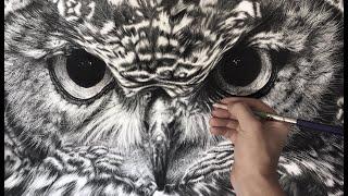 Hyperrealistic Owl Drawing/ 60 hour Time-lapse