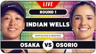 OSAKA vs OSORIO | WTA Indian Wells 2025 | LIVE Tennis Watchalong