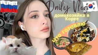 Vlog| Будни домохозяйки в Корее| Что готовлю?| Учусь на переводчика